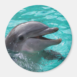 Dolphin head in aquamarine vatten magnet
