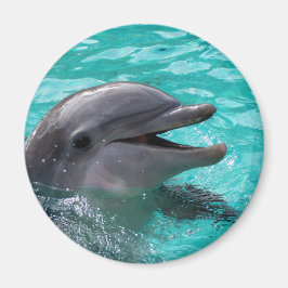 Dolphin head in aquamarine vatten magnet