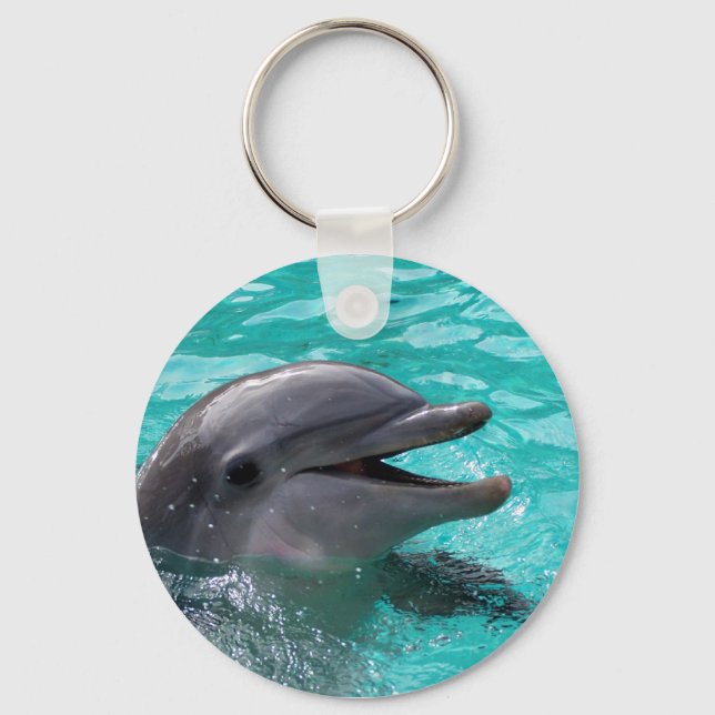 Dolphin head in aquamarine vatten nyckelring (Framsida)