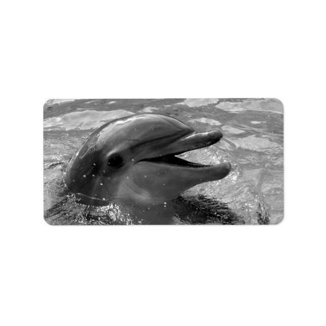 Dolphin head in vatten mouth open Black and White Adressetikett (Framsidan)