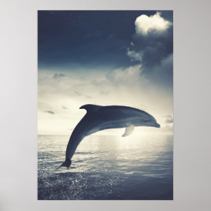 Dolphin hoppande ut ur vatten art poster