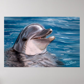 DOLPHIN HUAD POSTER