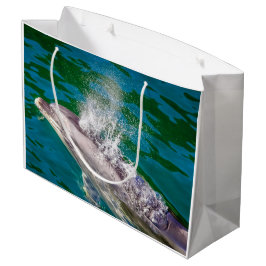 Dolphin i Milford Ljud, Nya Zeeland