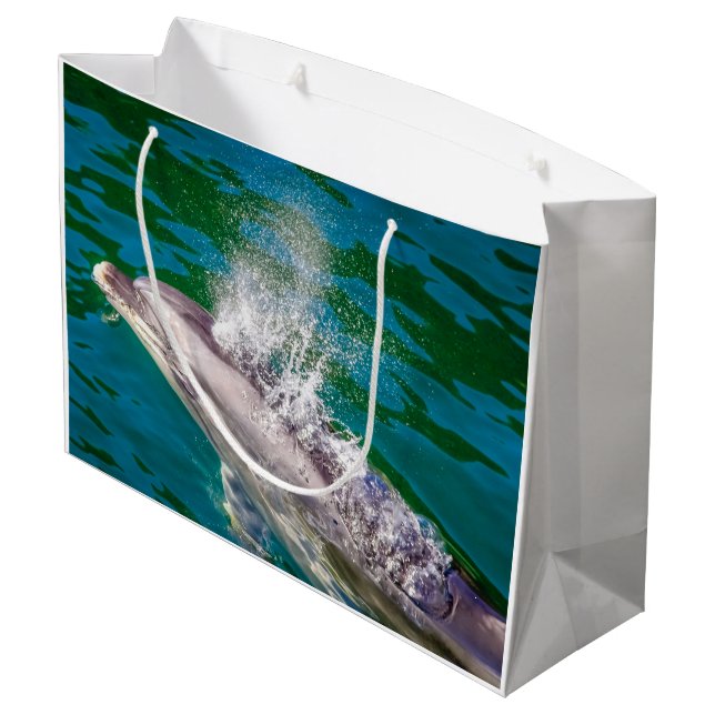 Dolphin i Milford Ljud, Nya Zeeland (Baksidan Vinklad)