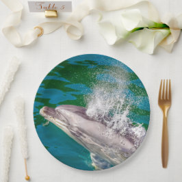 Dolphin i Milford Ljud, Nya Zeeland