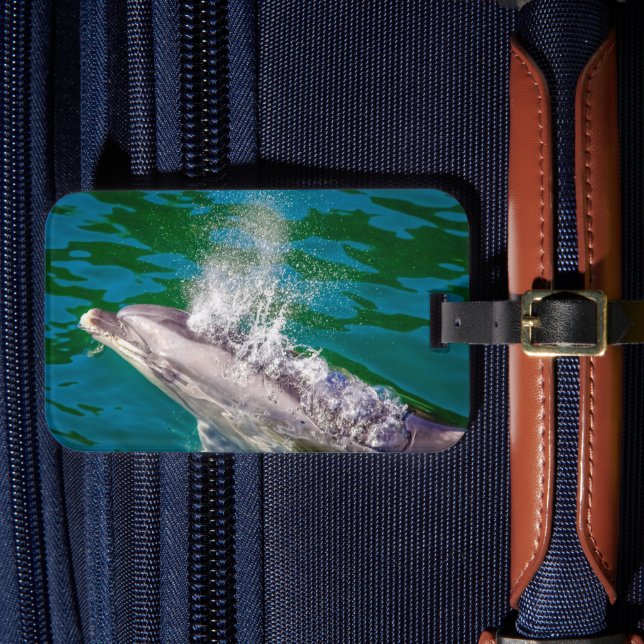 Dolphin i Milford Ljud, Nya Zeeland Bagagebricka (Framsida Insitu 4)