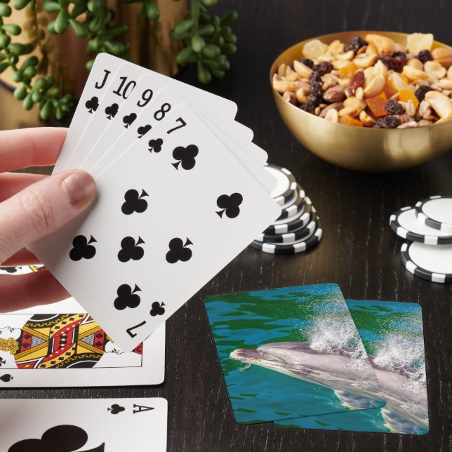 Dolphin i Milford Ljud, Nya Zeeland Casinokort (På plats)