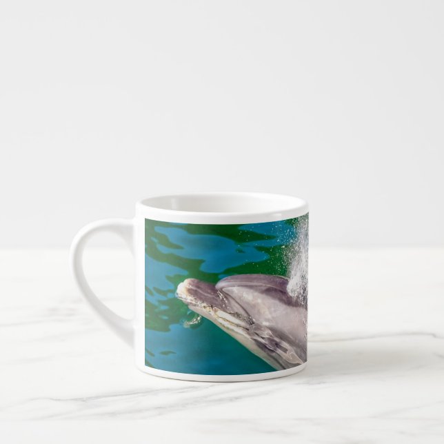 Dolphin i Milford Ljud, Nya Zeeland Espressomugg (Vänster)