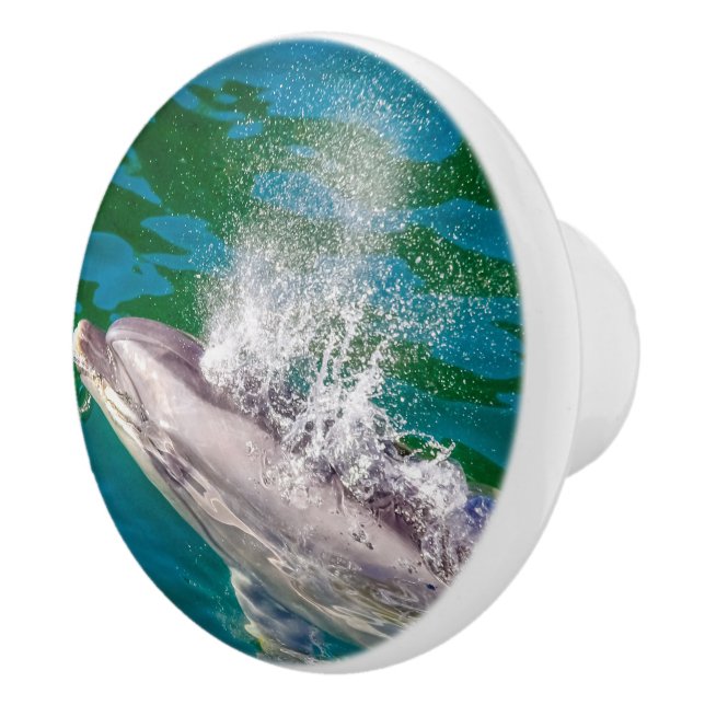 Dolphin i Milford Ljud, Nya Zeeland Knopp (Höger)