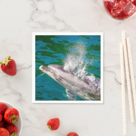 Dolphin i Milford Ljud, Nya Zeeland Pappersservett