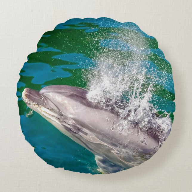 Dolphin i Milford Ljud, Nya Zeeland Rund Kudde (Framsidan)