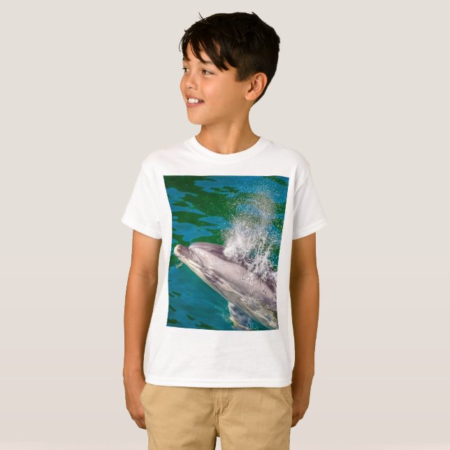 Dolphin i Milford Ljud, Nya Zeeland T Shirt (Hel framsida)