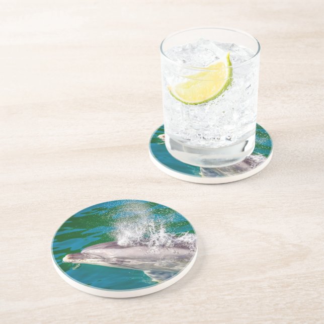 Dolphin i Milford Ljud, Nya Zeeland Underlägg (Sidan)