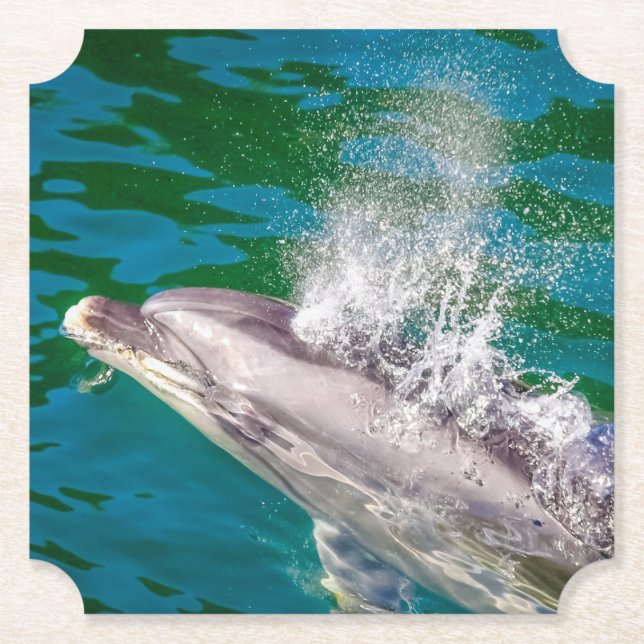 Dolphin i Milford Ljud, Nya Zeeland Underlägg Papper (Framsida)