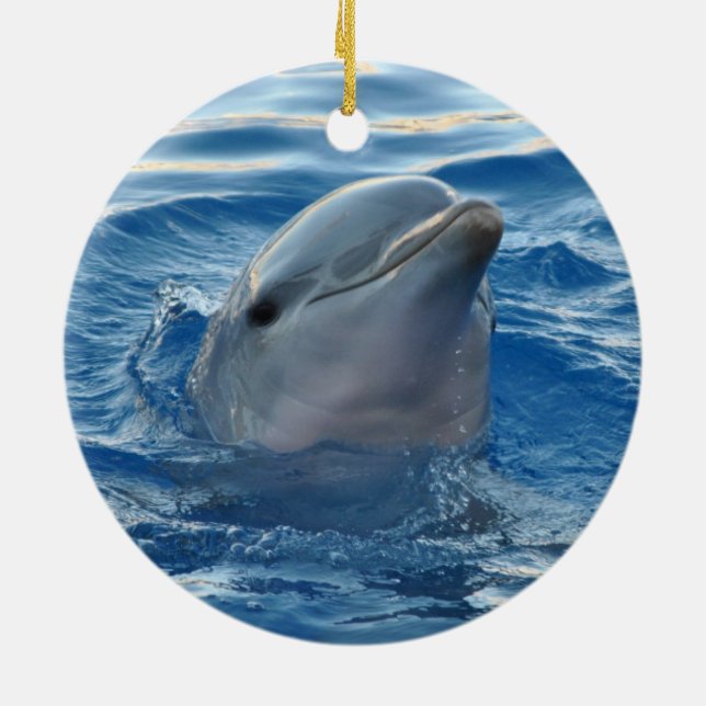 Dolphin Julgransprydnad Keramik (Baksidan)