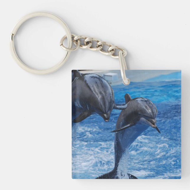 Dolphin Jumping Keychain (Framsidan)