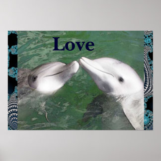 Dolphin Kärlek Poster