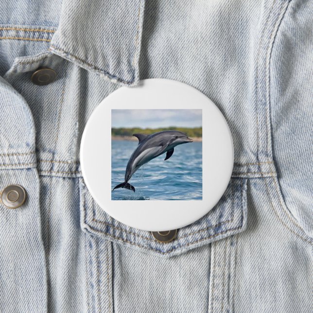 Dolphin Knapp (In Situ)