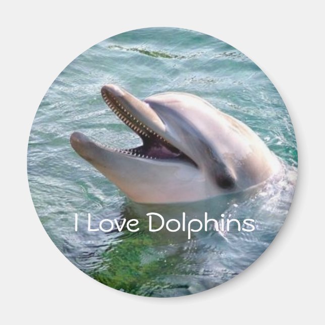 Dolphin Magnet (Framsidan)