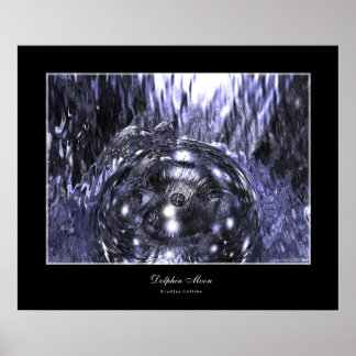 Dolphin Måne Poster