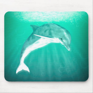 Dolphin Musmatta