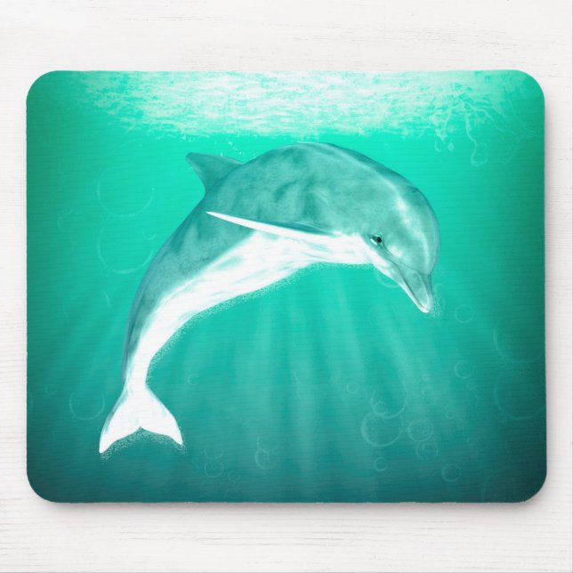 Dolphin Musmatta (Framsidan)