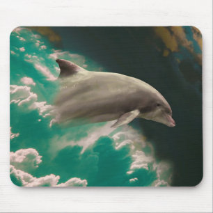 Dolphin Musmatta
