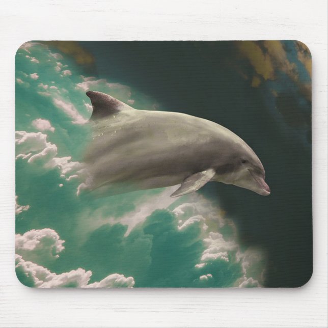 Dolphin Musmatta (Framsidan)