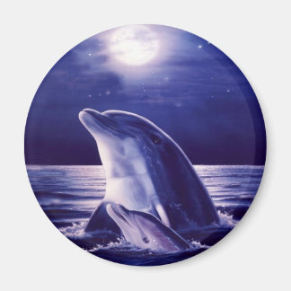 Dolphin och Baby Magnet