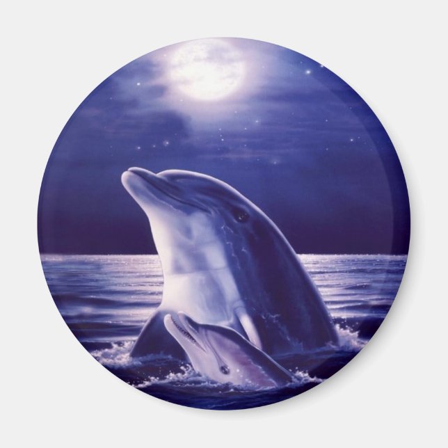 Dolphin och Baby Magnet (Framsidan)