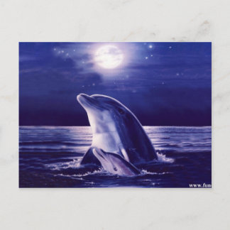 Dolphin och Baby Vykort