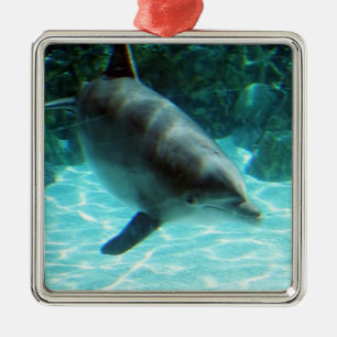 Dolphin Ornament