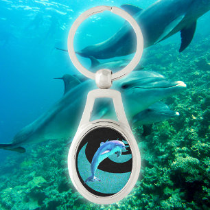 Dolphin Ovalt Silverfärgad Nyckelring