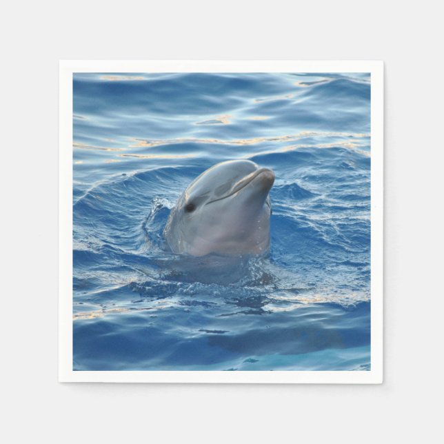 Dolphin Pappersservett (Framsidan)