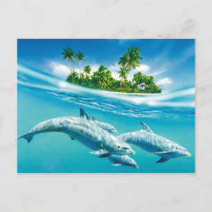 Dolphin paradise vykort