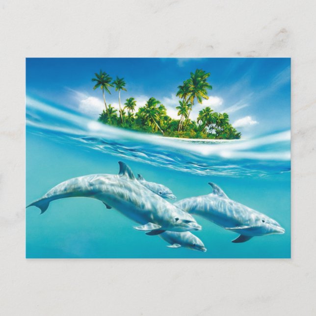 Dolphin paradise vykort (Framsida)