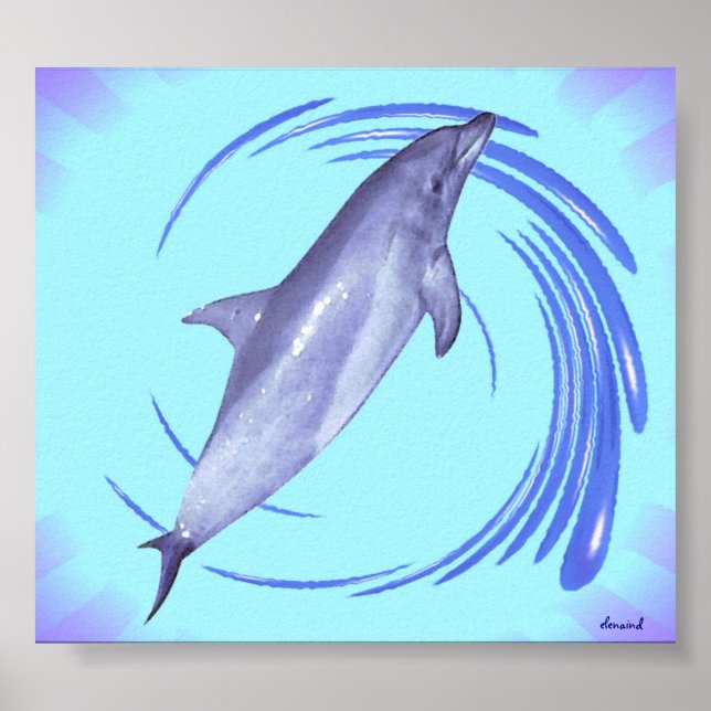 Dolphin Poster (Framsidan)