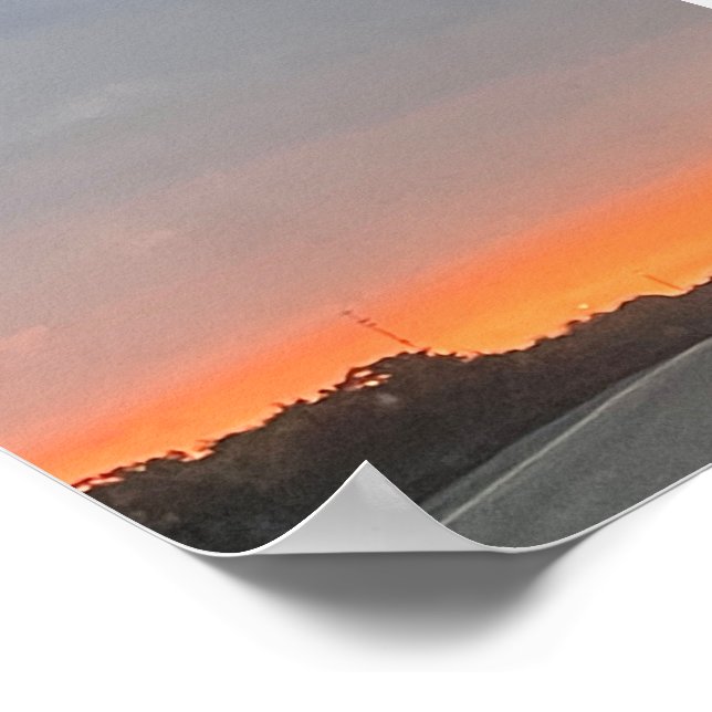 DOLPHIN POSTER (Hörn)