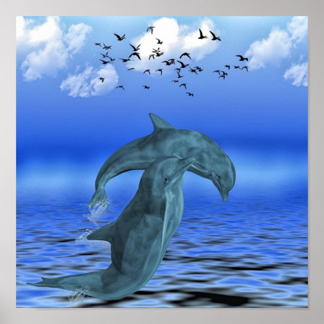 Dolphin Poster (Framsidan)