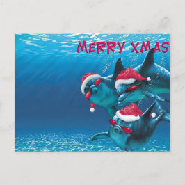 Dolphin Santa Hat Funny jul Vykort
