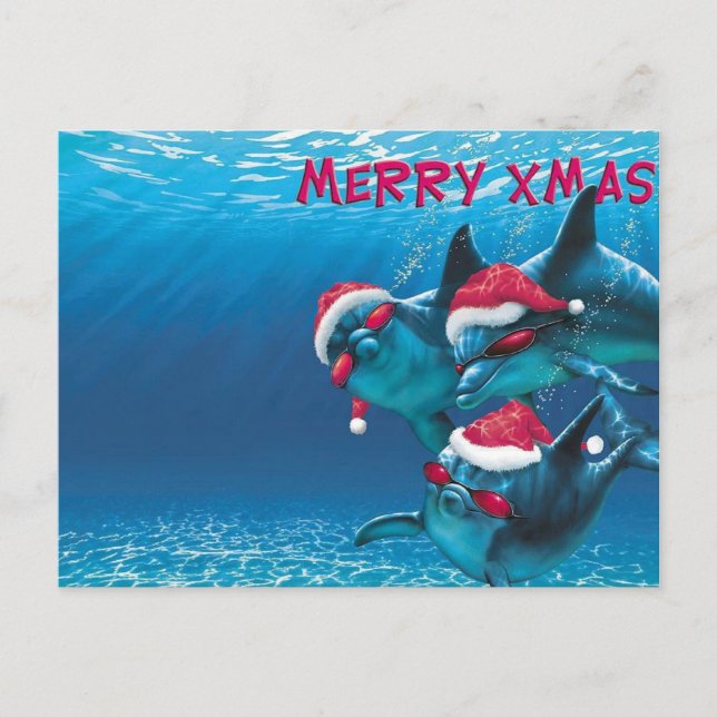 Dolphin Santa Hat Funny jul Vykort (Framsida)