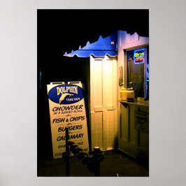 Dolphin ska gå ut nattetid i Santa Cruz Poster