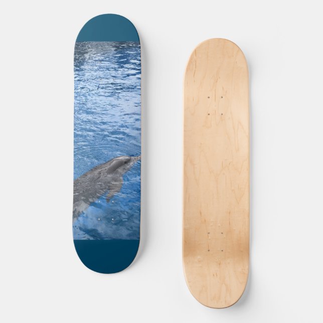 Dolphin Skateboard (Framsida)