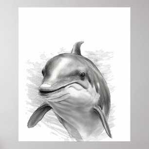 Dolphin Sketch Porträtt Black white Poster