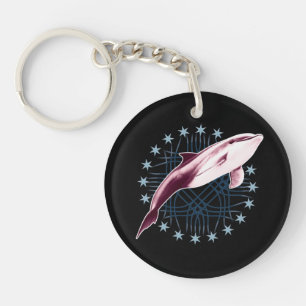 Dolphin Slick Graphic Design