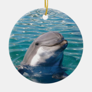 Dolphin Smile, anpassa som önskat Julgransprydnad Keramik