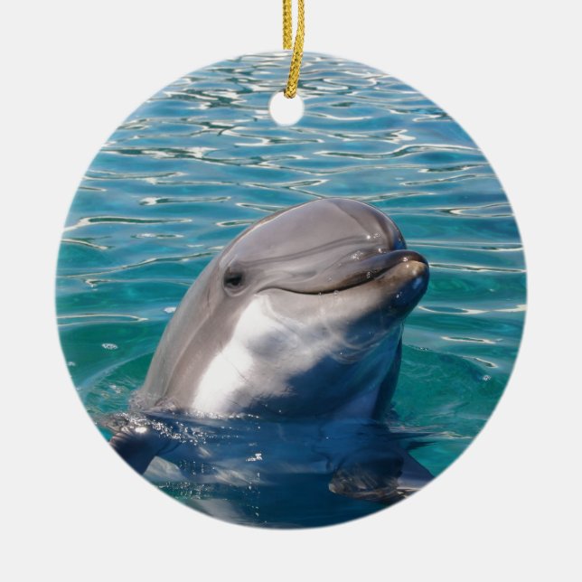 Dolphin Smile, anpassa som önskat Julgransprydnad Keramik (Framsidan)
