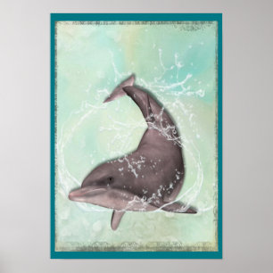 Dolphin Splash Around i Aqua Grönt Vatten Poster