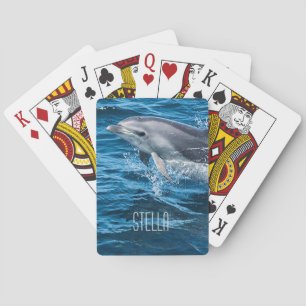 Dolphin Splash Casinokort