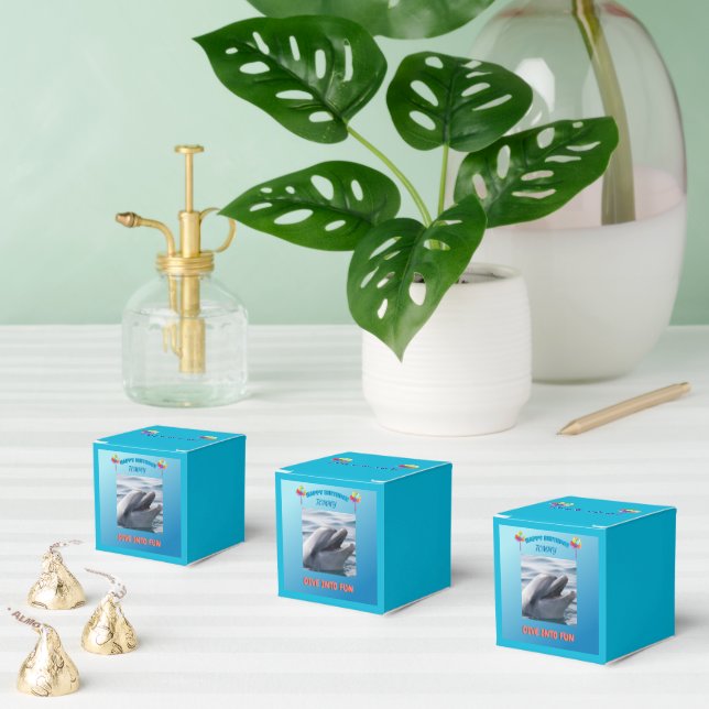 Dolphin Splash Party Presentaskar (Multipel)